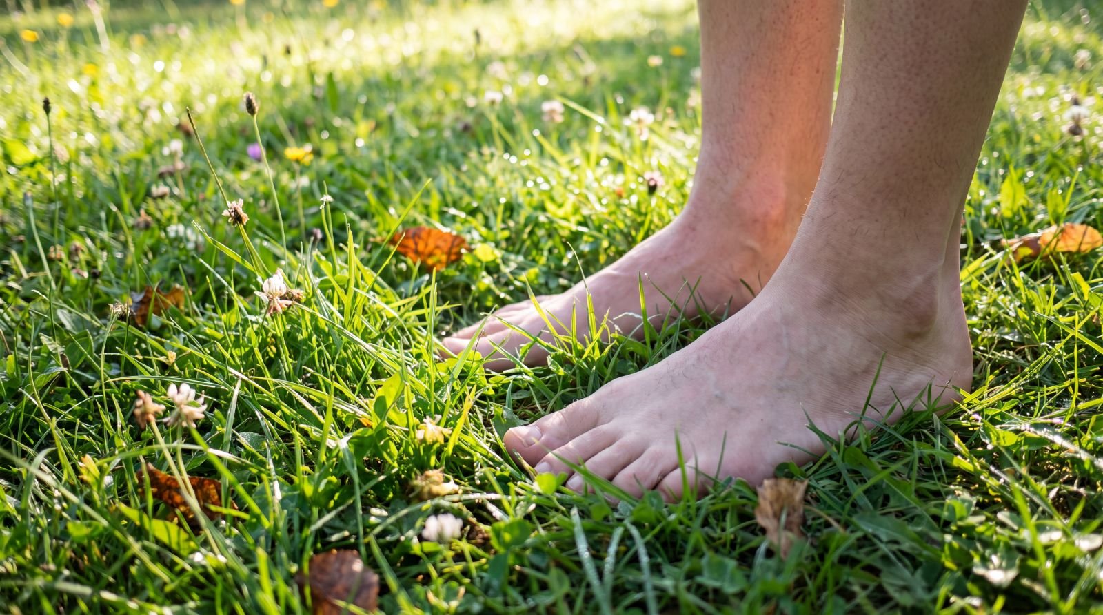 Bare feet standing on soft grass, grounding in the present moment